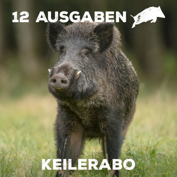 Keilerabo – 12 Ausgaben – alle 2 Monate neu