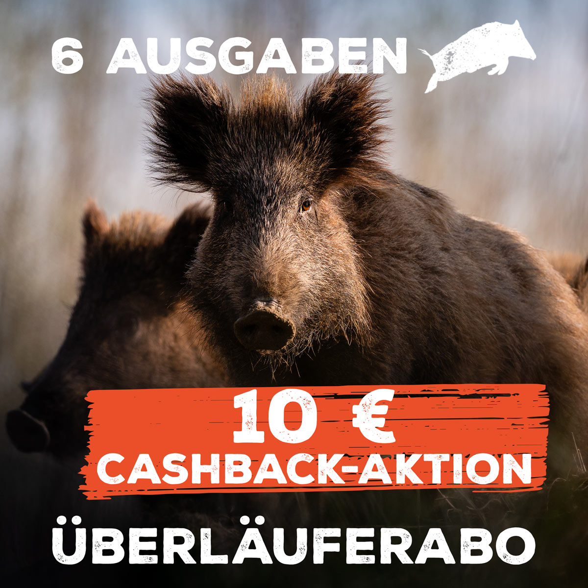 Überläuferabo = 6 Ausgaben | Jagdmagazin | Lucas von Bothmer